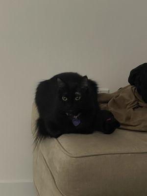 Ponce De Leon Animal Clinic