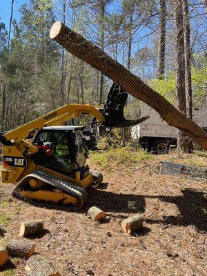 Delgado Tree Service