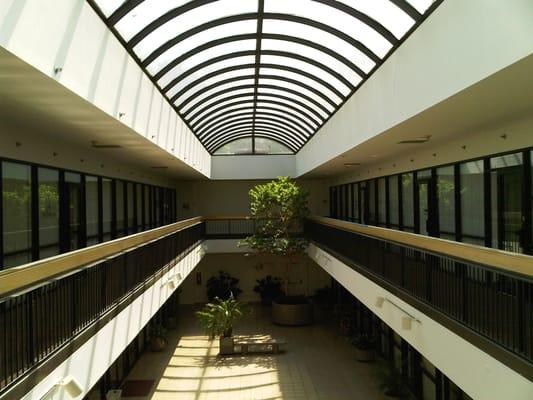 Brauny Home Services