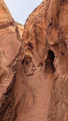 Peek-a-boo & Spooky Slot Canyon