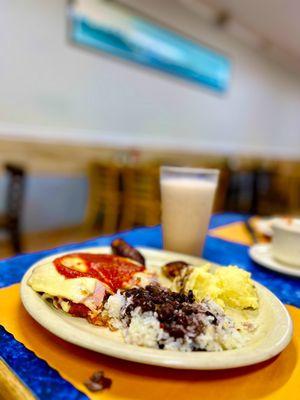 Chicken Milenesa with black beans, white rice, plantains and mashed potatoes.