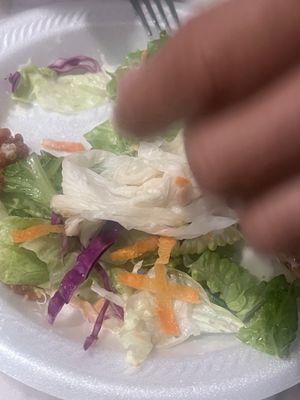 Nacho's Pizza & Catering