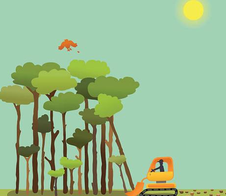 JJR Tree Services Landscaping