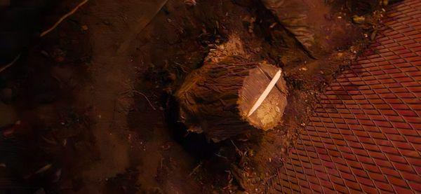 Professional Precision Solution