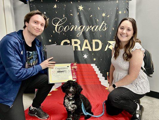 Sit Means Sit Dog Training South Orange County