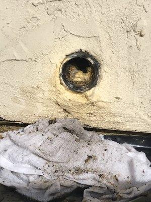 Royalty Drains and Plumbing