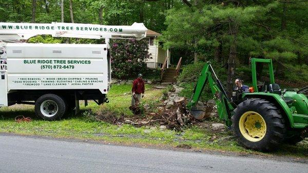 Blue Ridge Tree Services