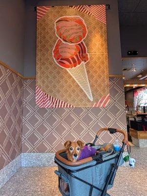 Cute dog may not be present during your visit. And yes Salt & Straw is dog friendly