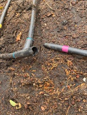 Gonzales Tree Service