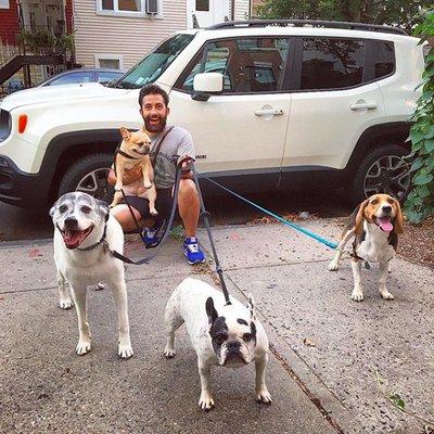 Dog-E-Dog
