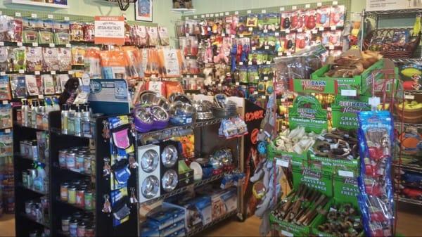 Pet Boutique of Largo