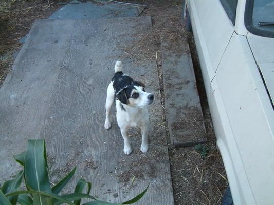 Quick Response Hauling Services