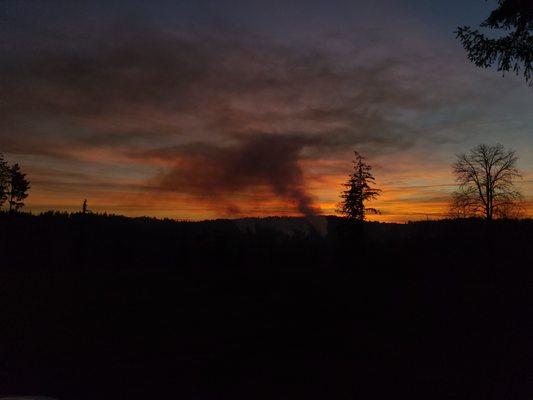 Abernathy Stump Grinding