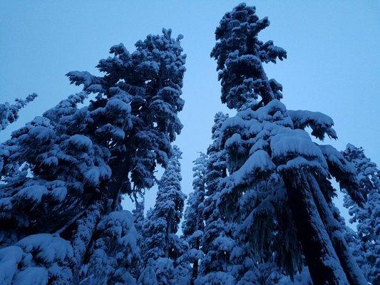 Bennett Pass Snowpark