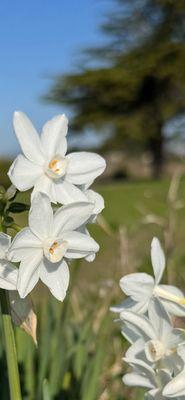 Blufftop Coastal Park