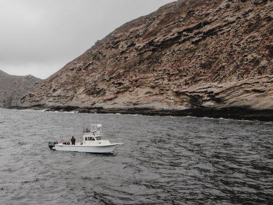 Coletta Sport Fishing