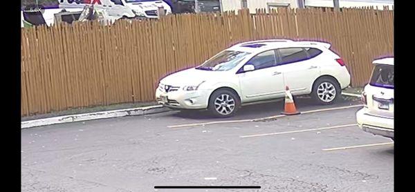 Zuniga Asphalt & Paving