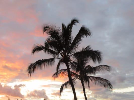 Roxbury Parking Enterprise