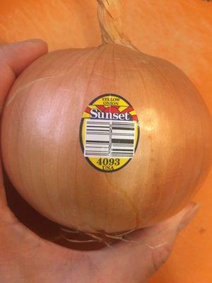 Yellow Onion