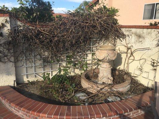 Complete lack of maintenance and upkeep by Jenny and Cayenne of "Spectrum Property Management Company" DO NOT LEASE HOMES FROM THIS AGENCY