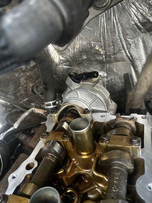 Cleaned up and new gasket for this leaking vacuum pump on a f150 platinum
