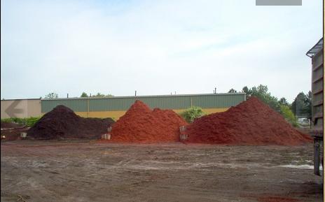 Clarkston Tree Service