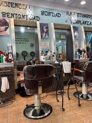 Modern Salon