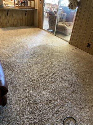 Anthem Carpet & Upholstery Cleaning