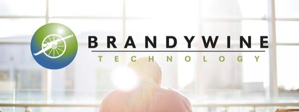 Brandywine Technology