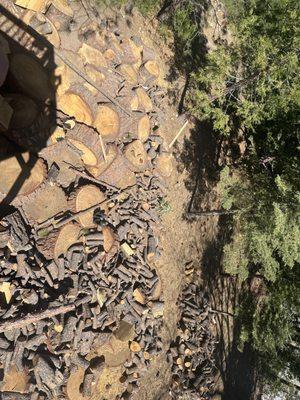 Leftover rounds from the tree