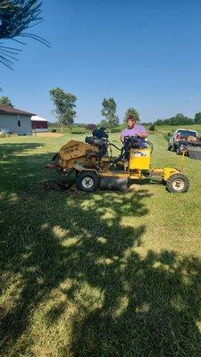 Busted Beaver firewood and stump grinding