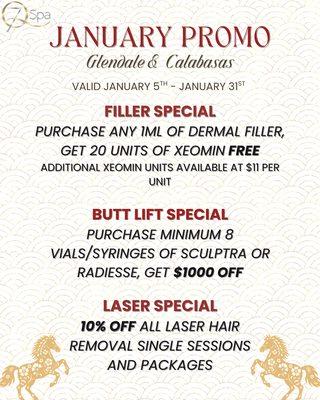 7Q Spa Laser & Aesthetics