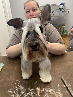 Camp Pawlidays Grooming