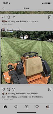 SwampDog’s Tree & Landscaping Services