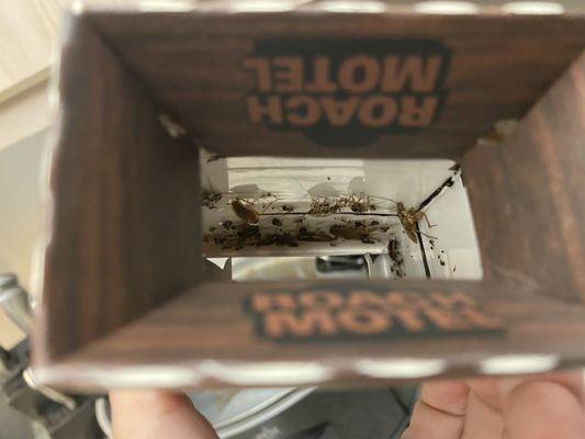 Summerstone Apartments