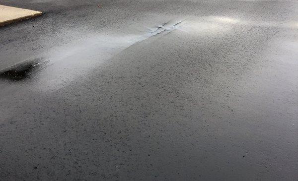 Jellisons Best Blacktop