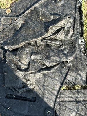 Soaking up all my oil trying to cover up a major leak that's was not told to me.