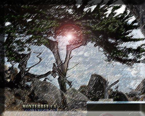 A L'avant Productions