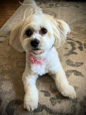 So pretty after a groom at DeTails.