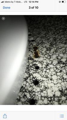 Arlina's New & Used Furniture