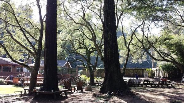 Mauricio Tree Service