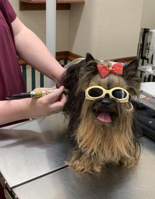 Southwest Animal Hospital