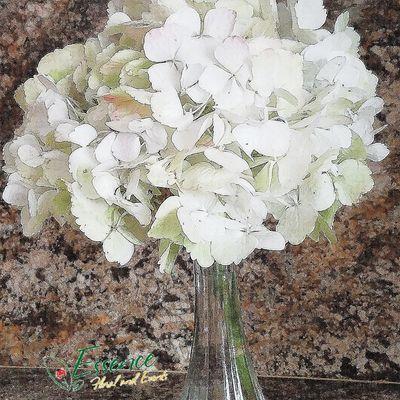 Essence Floral & Events