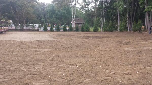 Angelo Palisciano Landscaping