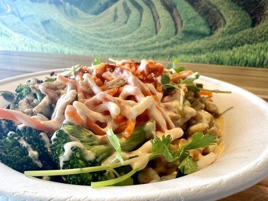 Chicken Bowl Steak Bowl