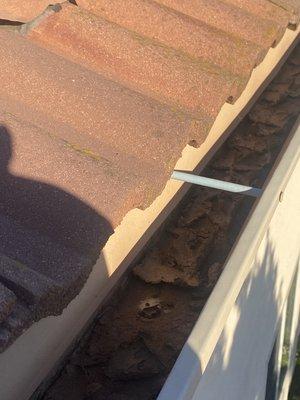 Professional Gutters