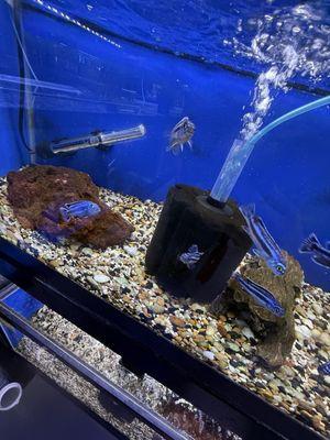 Pet & Aquatic Warehouse