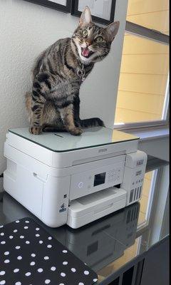 Shaneco Shower Door & Glass