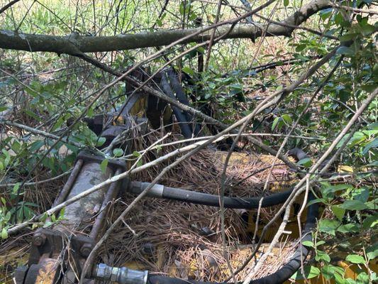 No evendence of burn on trees in same area.