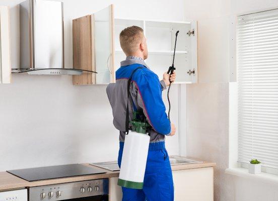 County Pest Control